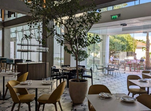 From Coast to Vineyard